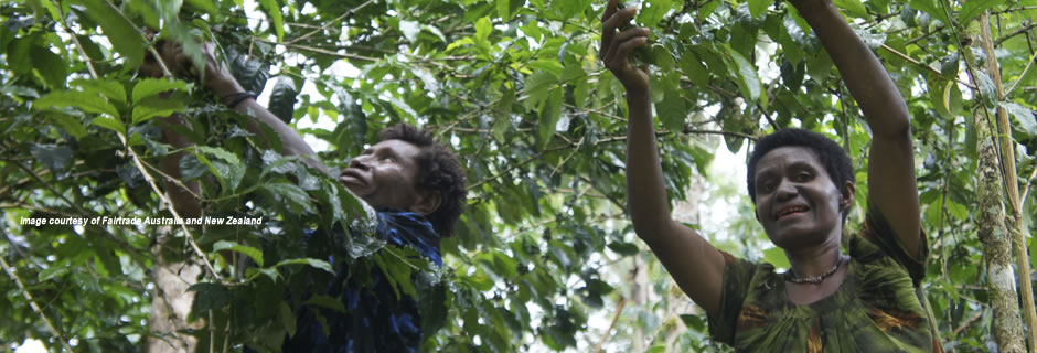 A fair trade university